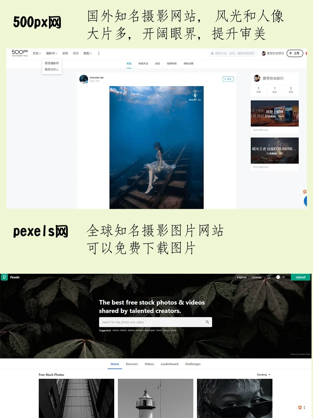 零基础自学摄影网站推荐❗️收藏起来