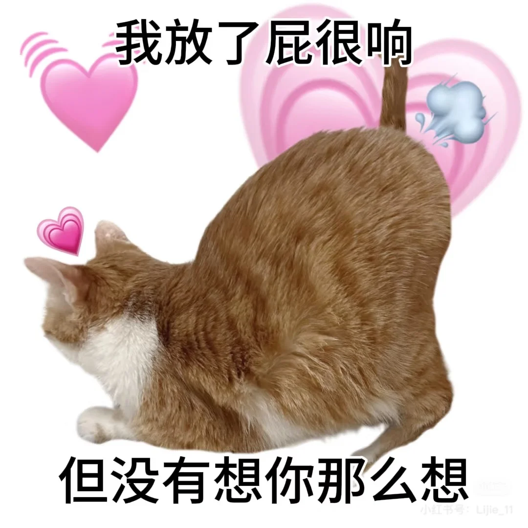 想做一个女性向的账号