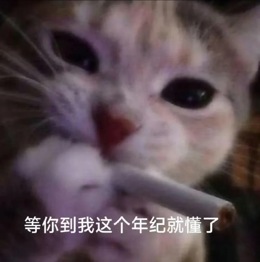 密码的*%#*&