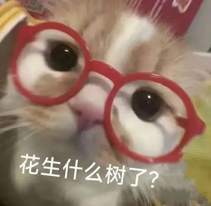 密码的*%#*&