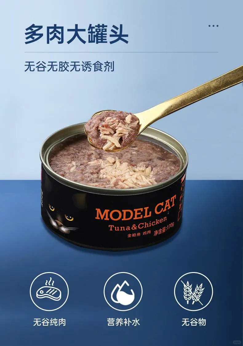 上新啦！🌟模特猫罐头170g*12✨