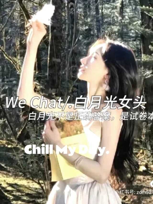 高质量白月光女头