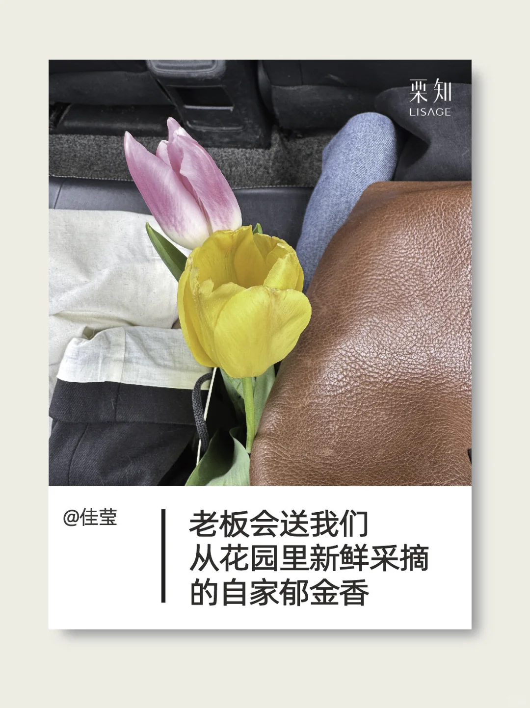 打工日记｜我真的被全女公司养很好