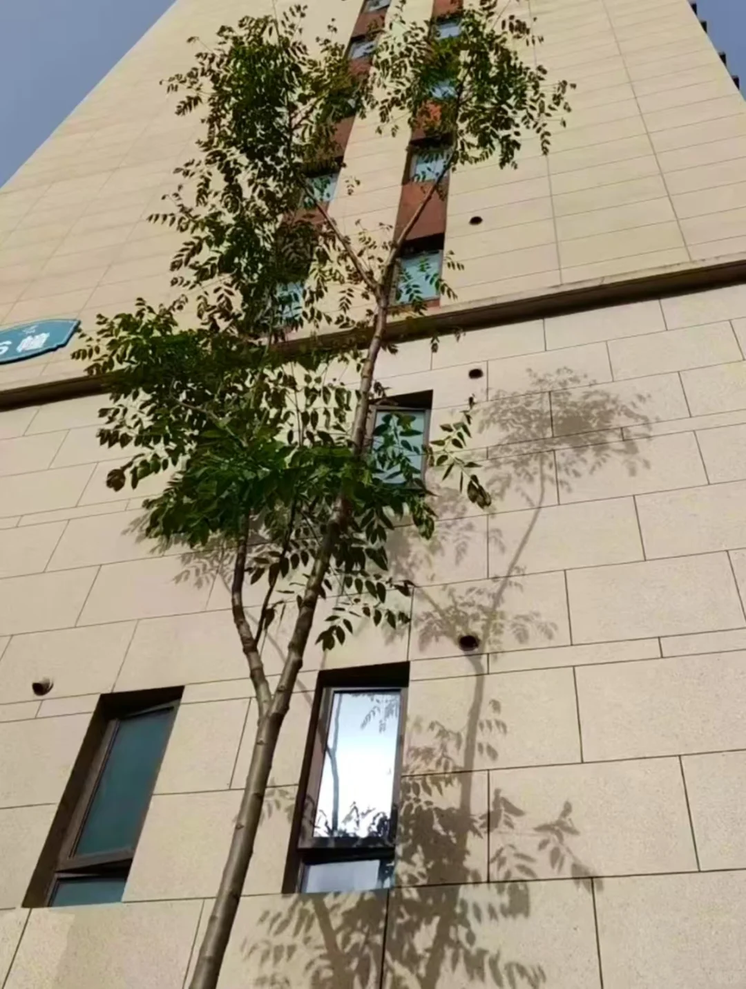 86年的老阿姨能入的了你的眼吗？