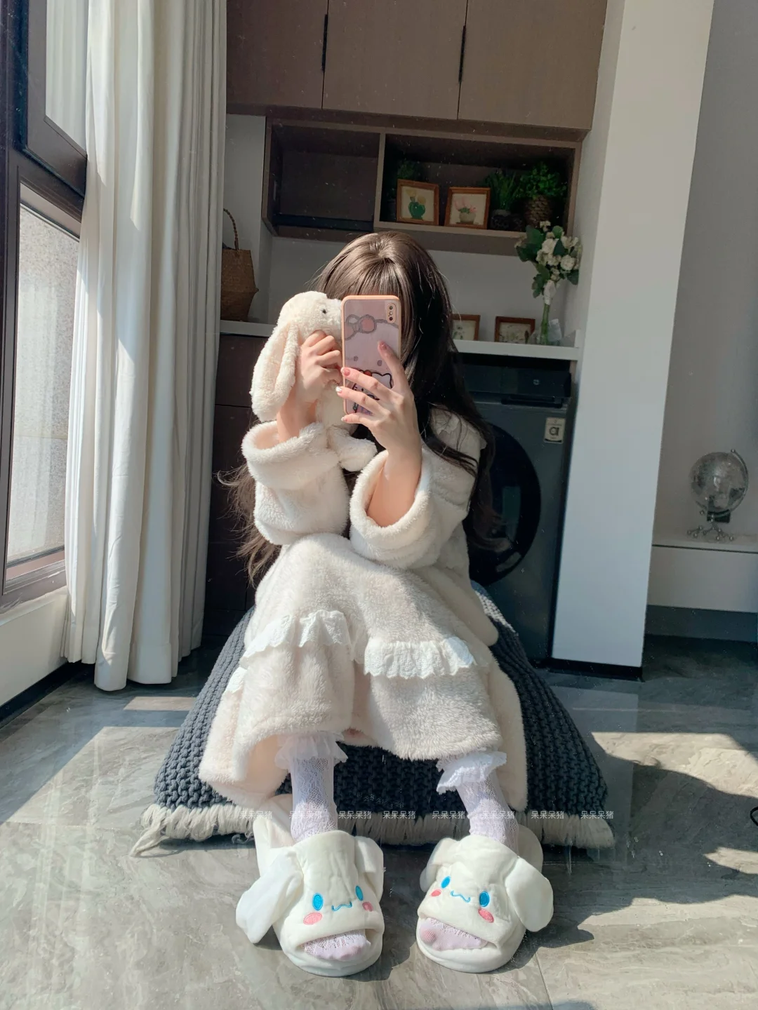 可爱玉桂狗来咯