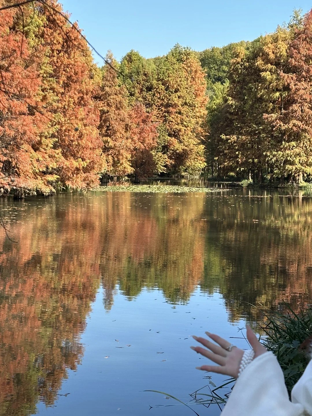 又到秋天了🍂