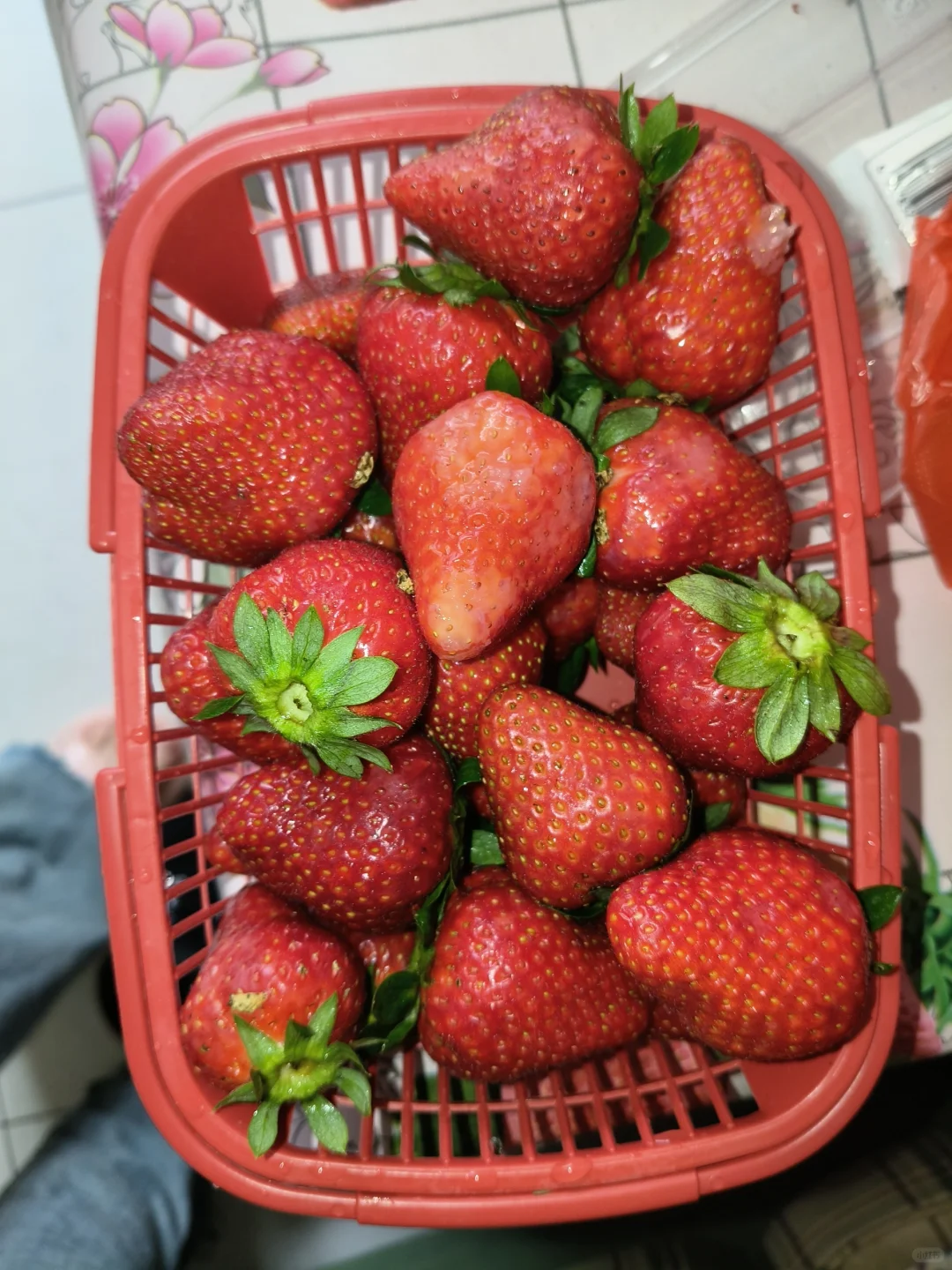 女高中生挑战瘦到98斤第三天