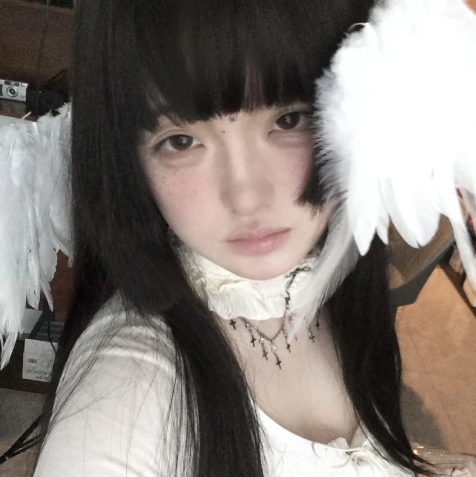 ₊⁺ ꒰১ 天使捕梦网⊹໒꒱ ˖