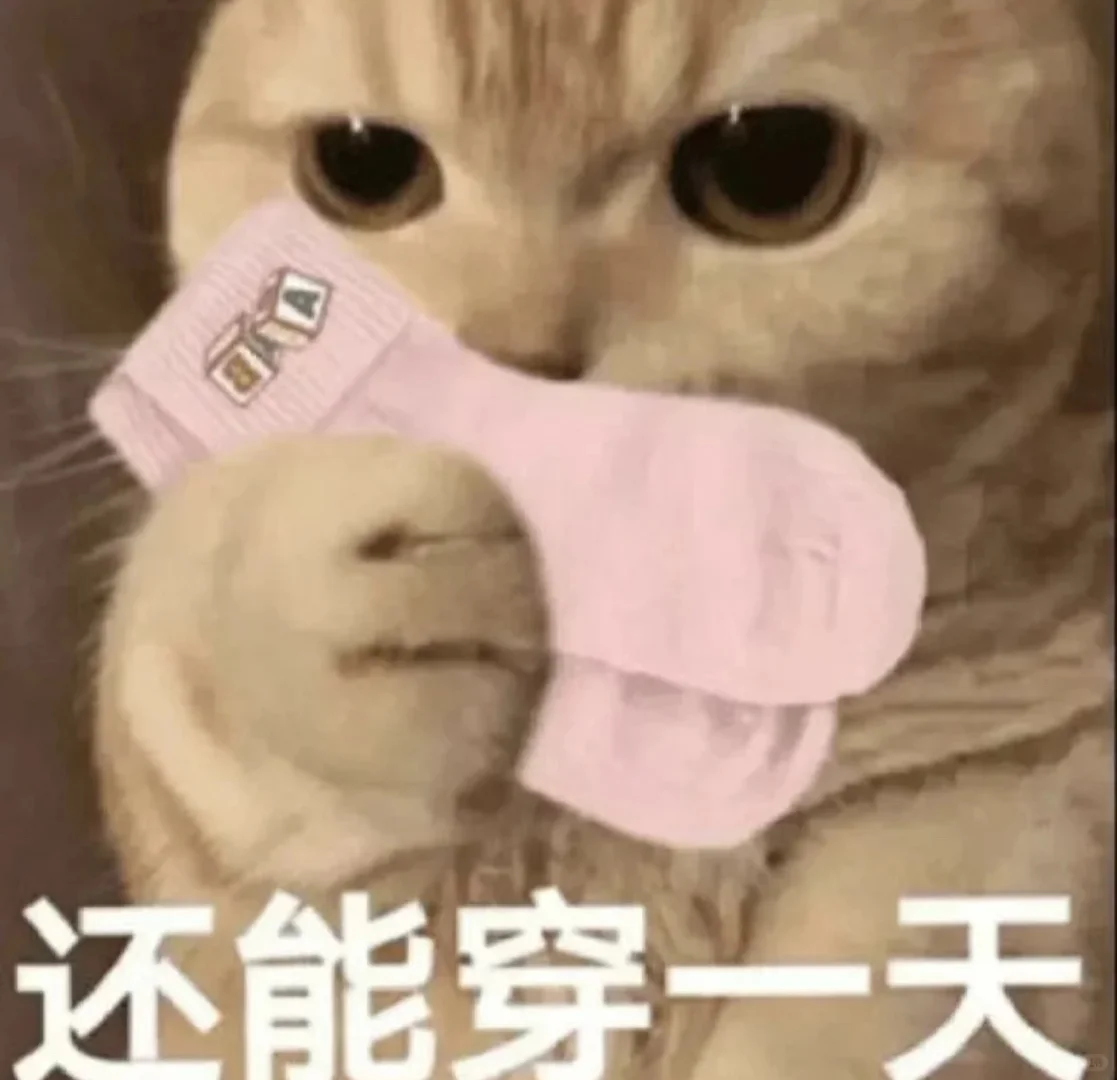 表情包分享58.0来噜🌟