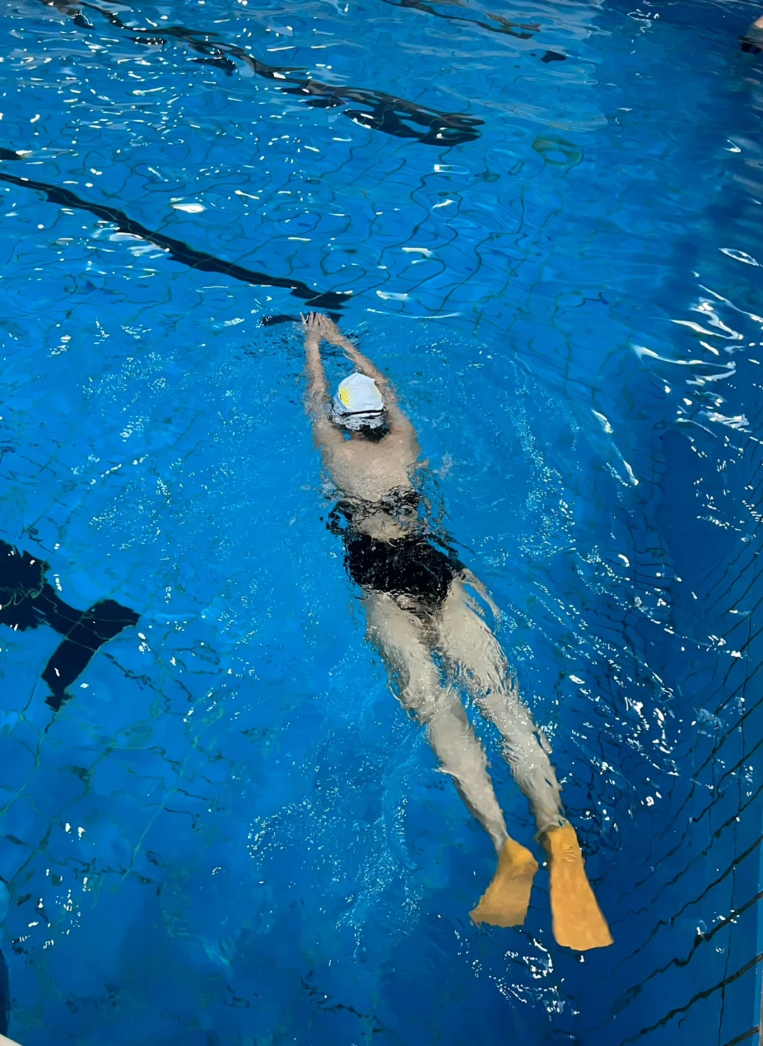 水下真的好漂亮！🏊🏻‍♀️