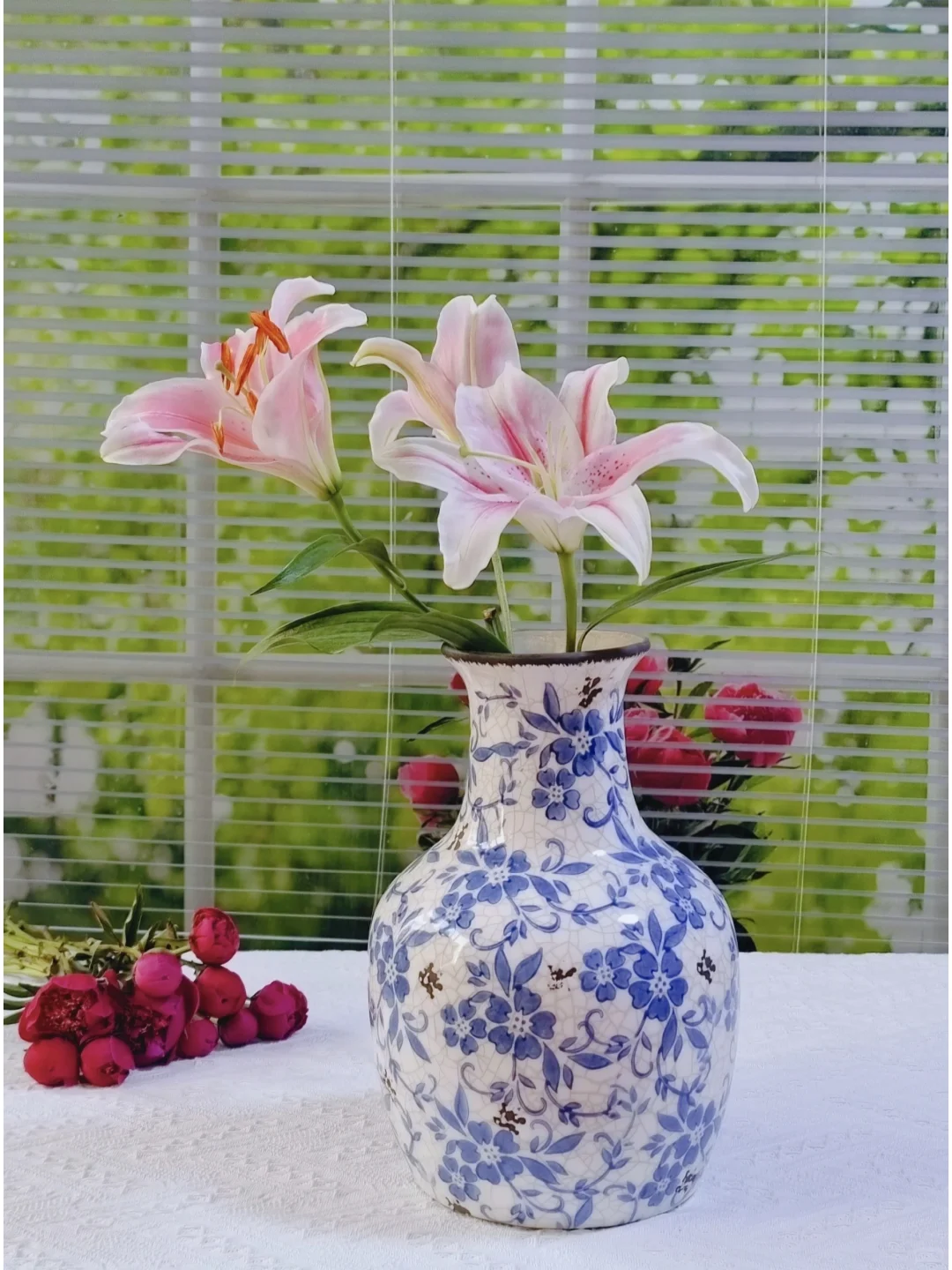 女人如花🌸花开时节尽情绽放