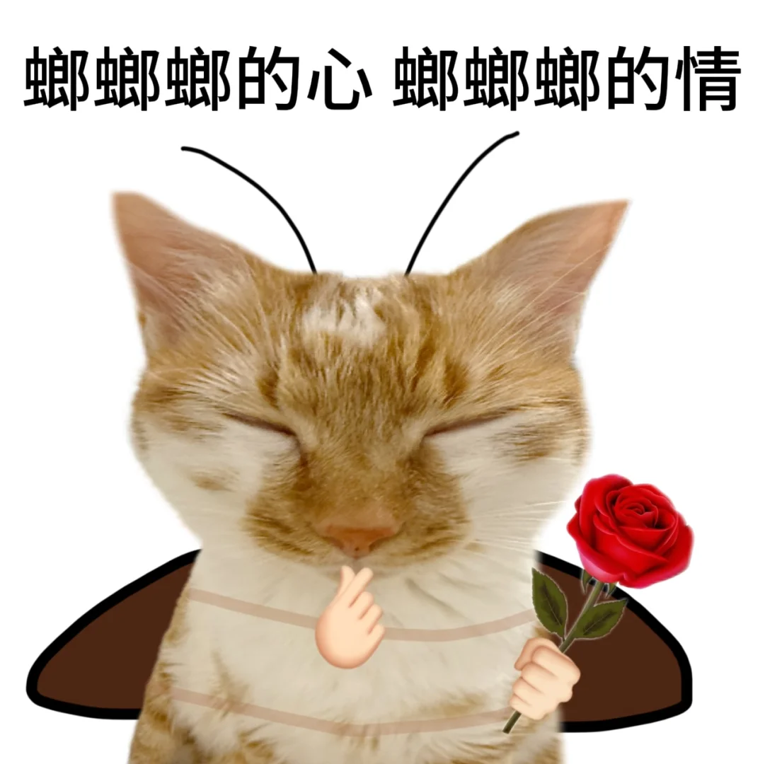 一组螂来了的表情包