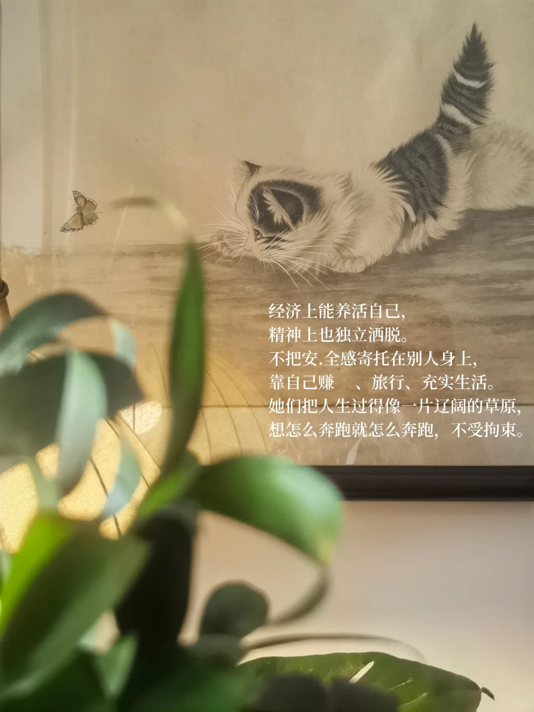 生活里，总有一类女生特别吸引人。
