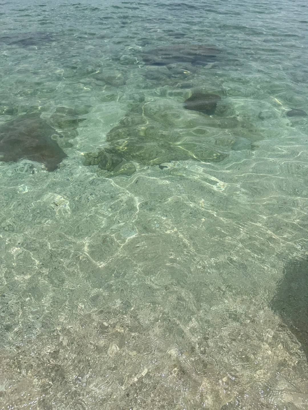 穿比基尼的照片都别往朋友圈了发了。。。