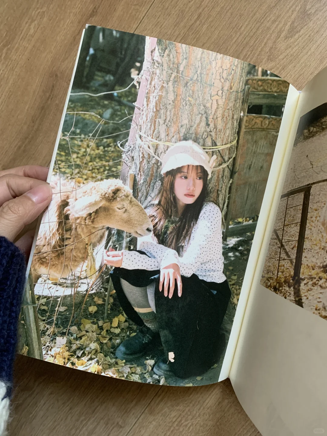 ✨ 把旅行记忆装订成册｜专属定制写真书