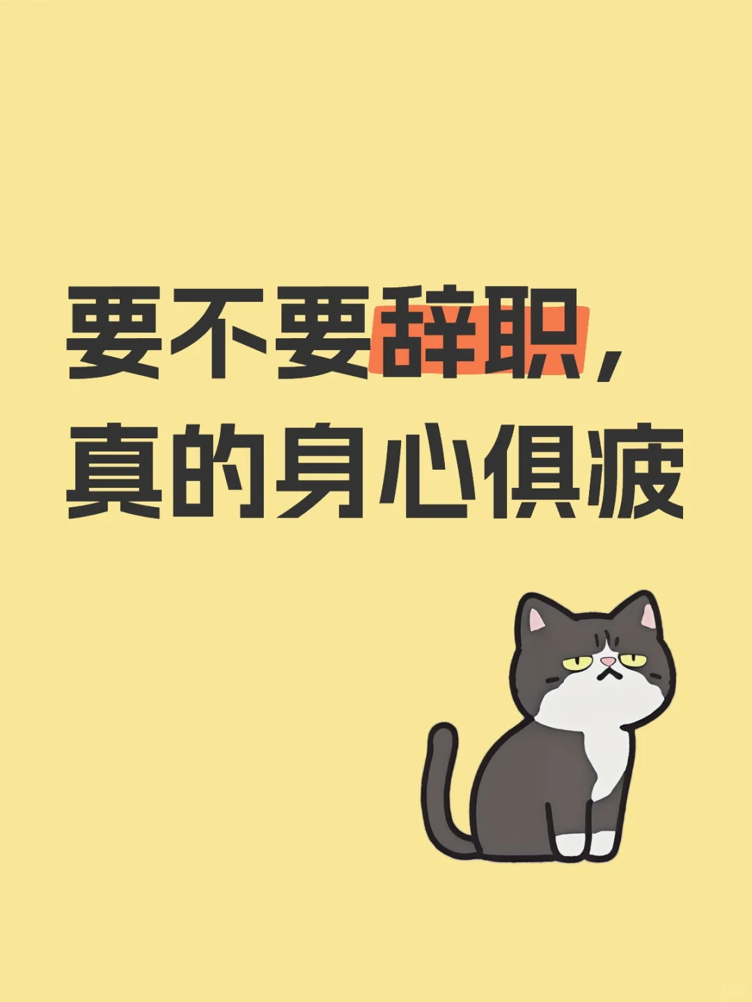 各位美女请留步，帮忙参谋一下