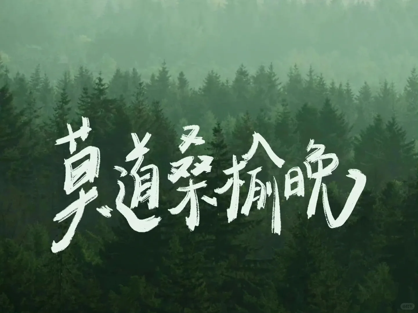 ipad壁纸/出发吧！