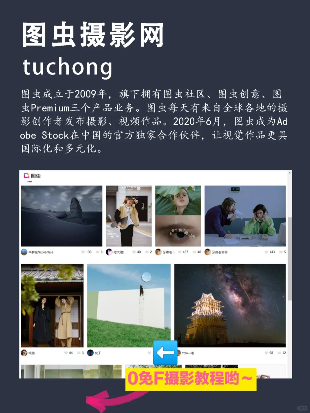 专业摄影师📸学摄影一定要看的网站推荐