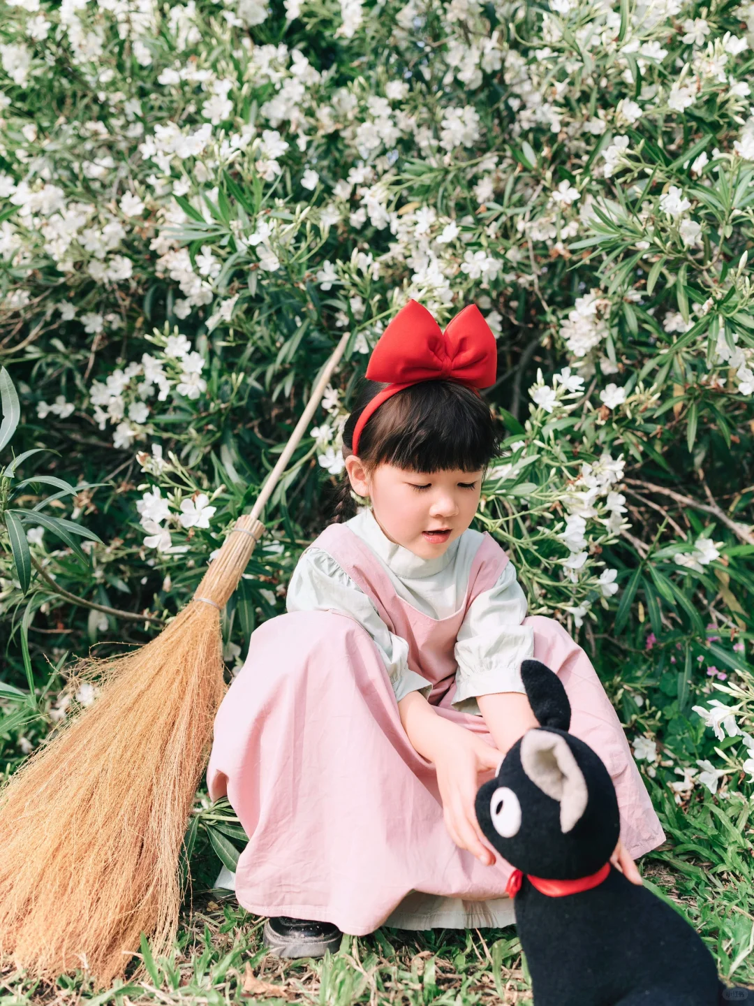 东莞夹竹桃又开花啦✨赶紧带娃拍美照吧