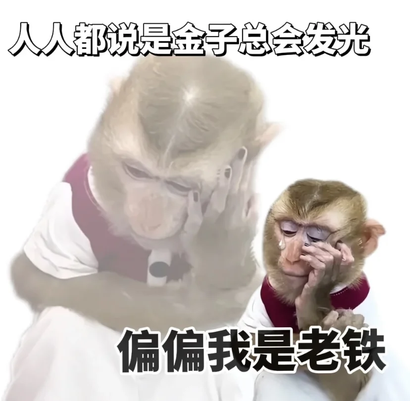 猴子🐒表情包