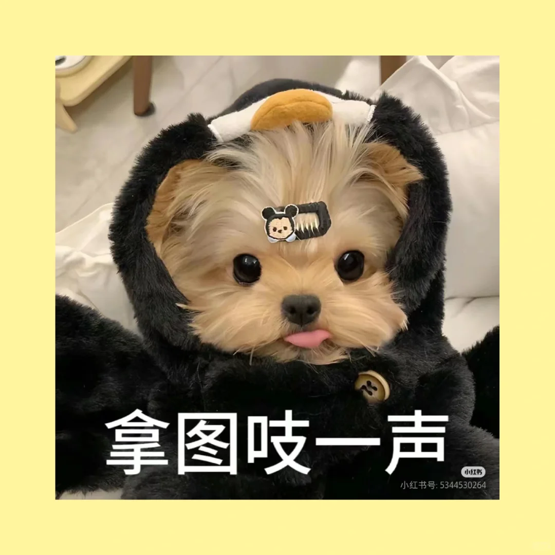 值得长期不换的绝美头像，美女姐姐们自取哦