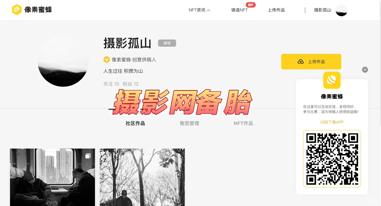 好玩又赚钱，这几个摄影网站就够了。