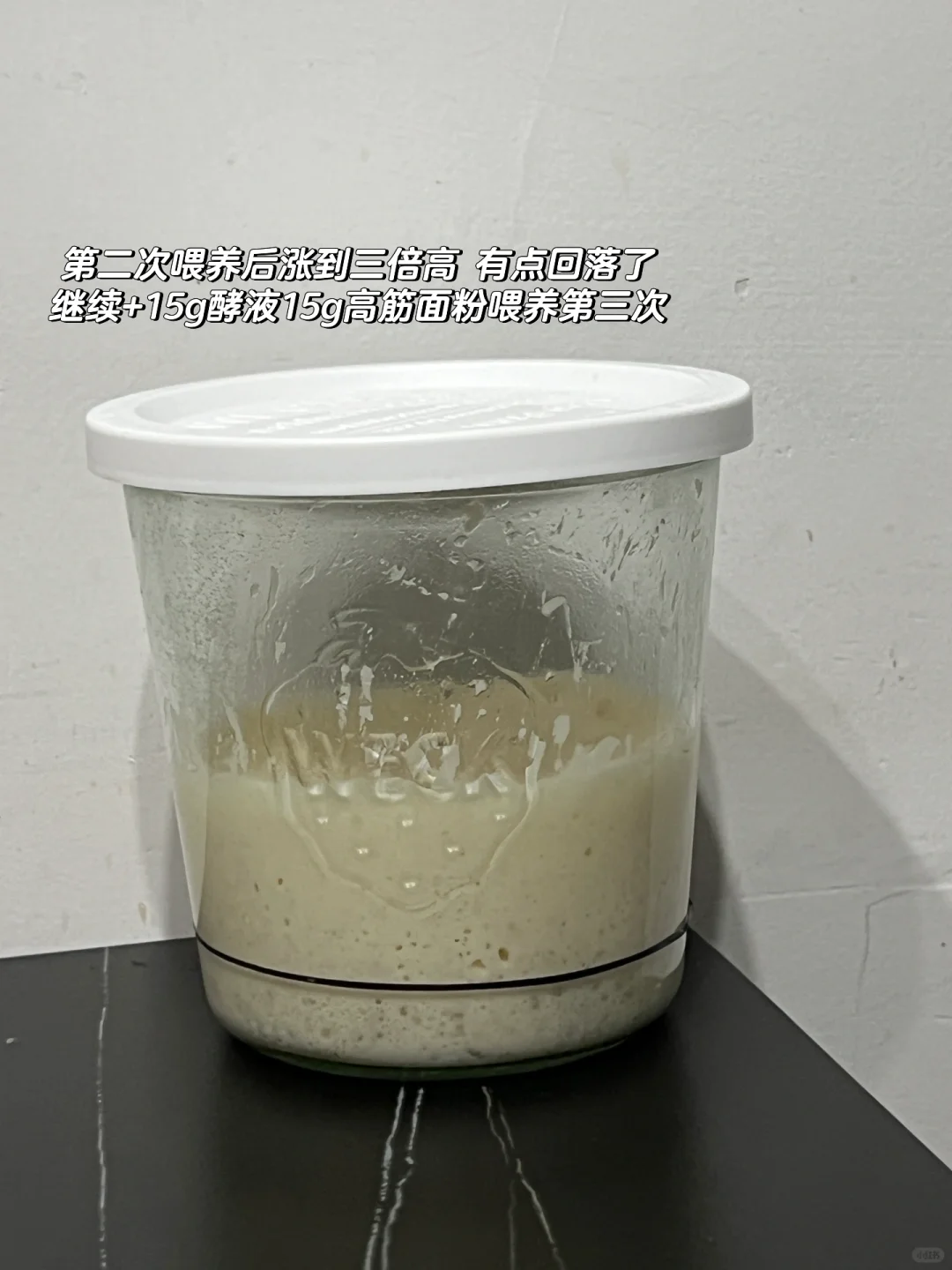 记录｜水果酵液