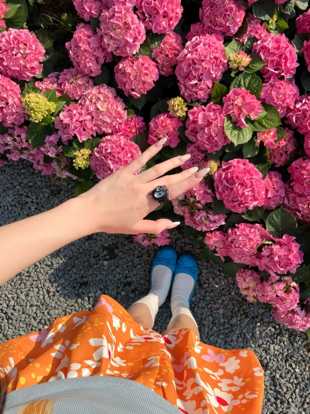30多块💰一套多巴胺穿搭夏日活力氛围绝了❗️