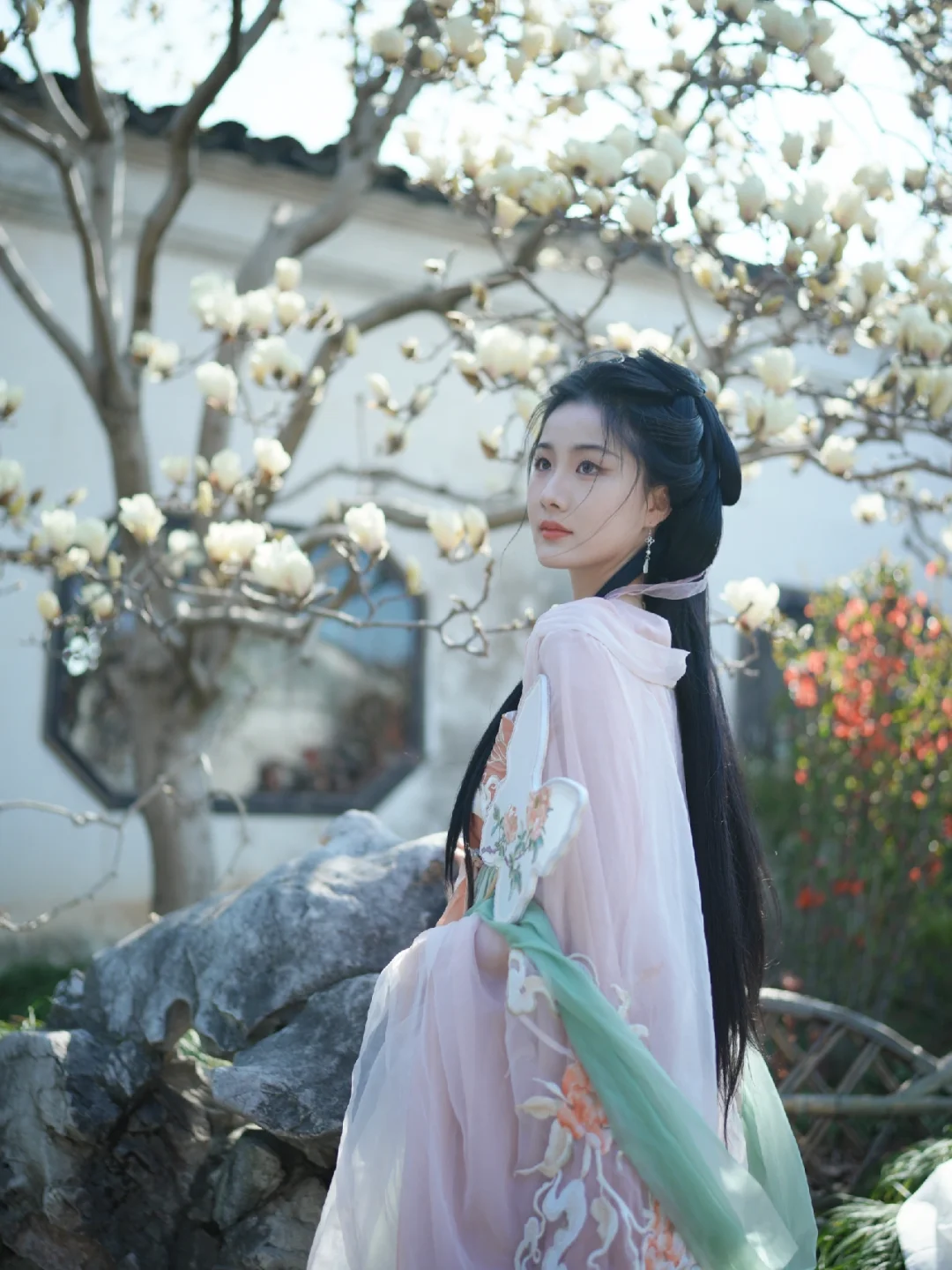 皎皎玉兰花，不受缁尘垢
