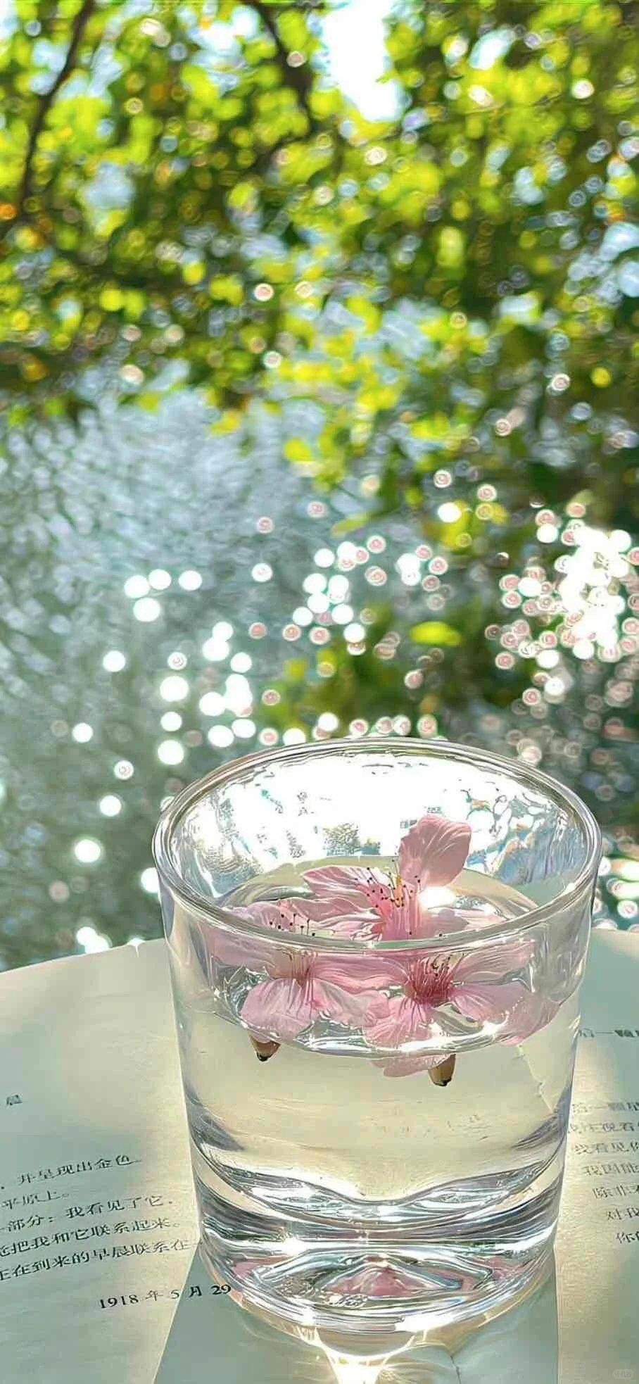 𝒇𝒍𝒐𝒘𝒆𝒓｜手机壁纸🌸