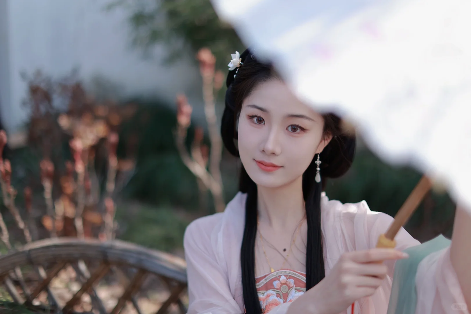 皎皎玉兰花，不受缁尘垢