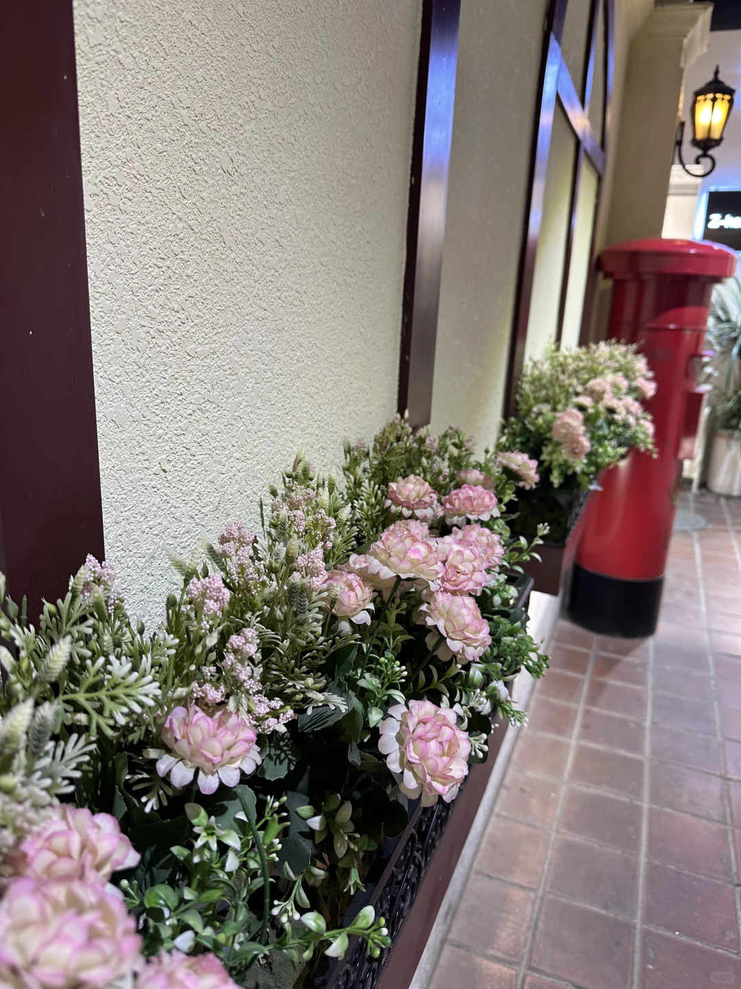 🔁05年女大学生勇闯Plog赛道的第🔟天