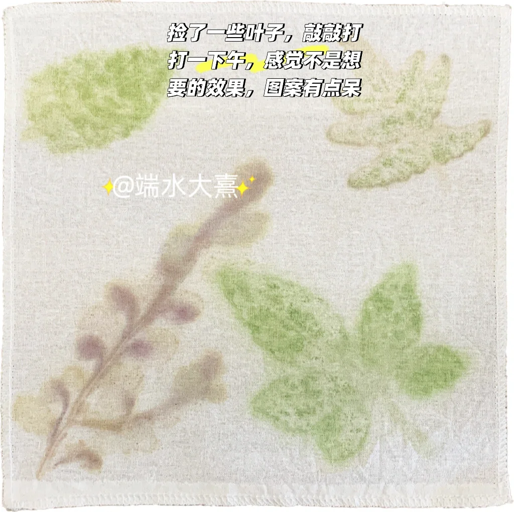 面试老师好奇的植物拓印染，太好看了吧！