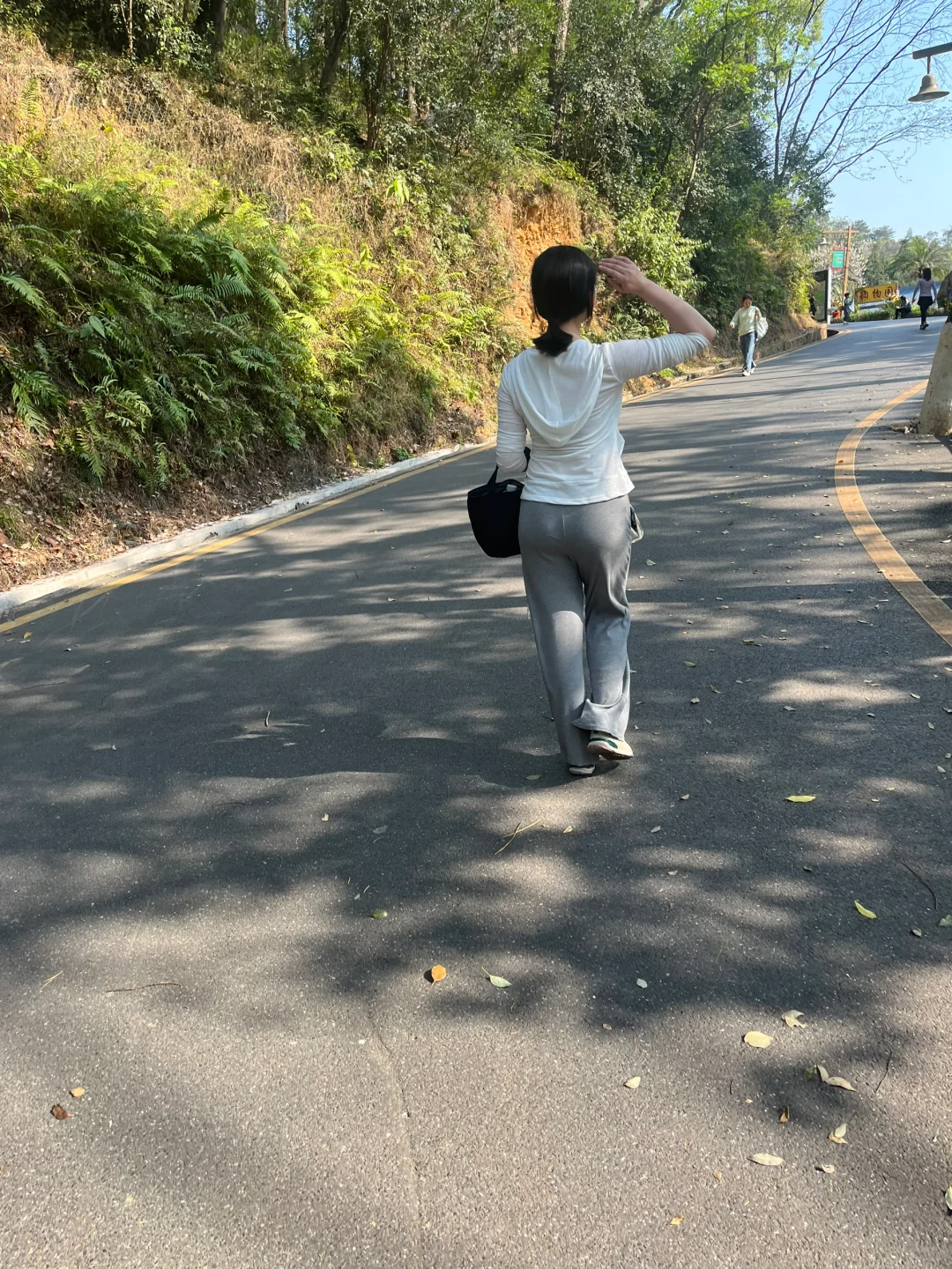 吹着夏天的风去爬山⛰️