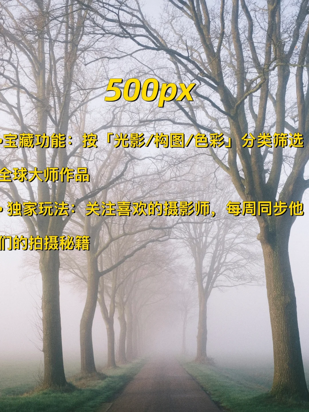 摄影师私藏的6个神仙网站！资源管够✨