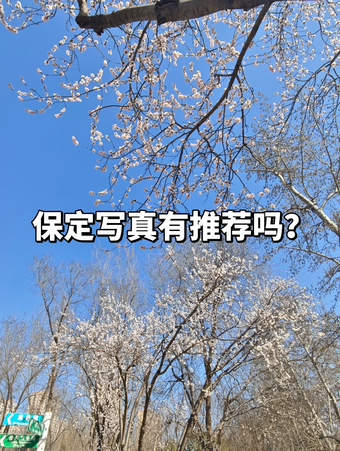 单眼皮拍也好看的写真集