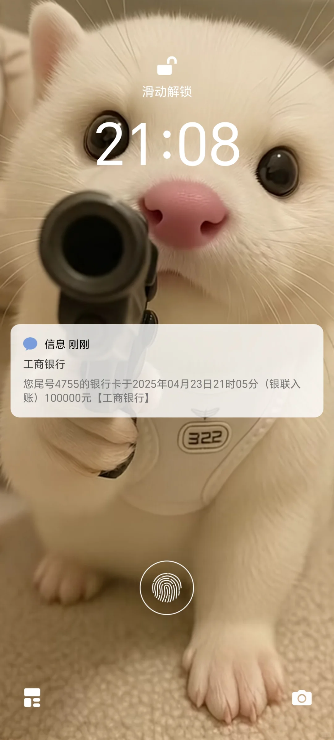 刚来的财，又可以点十个女模了