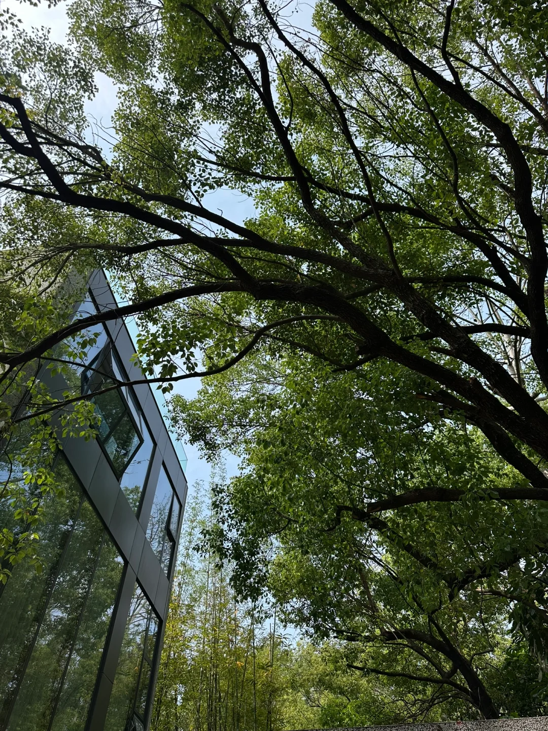RFL时尚轻单|白衬衫➕牛仔裤极简天花板