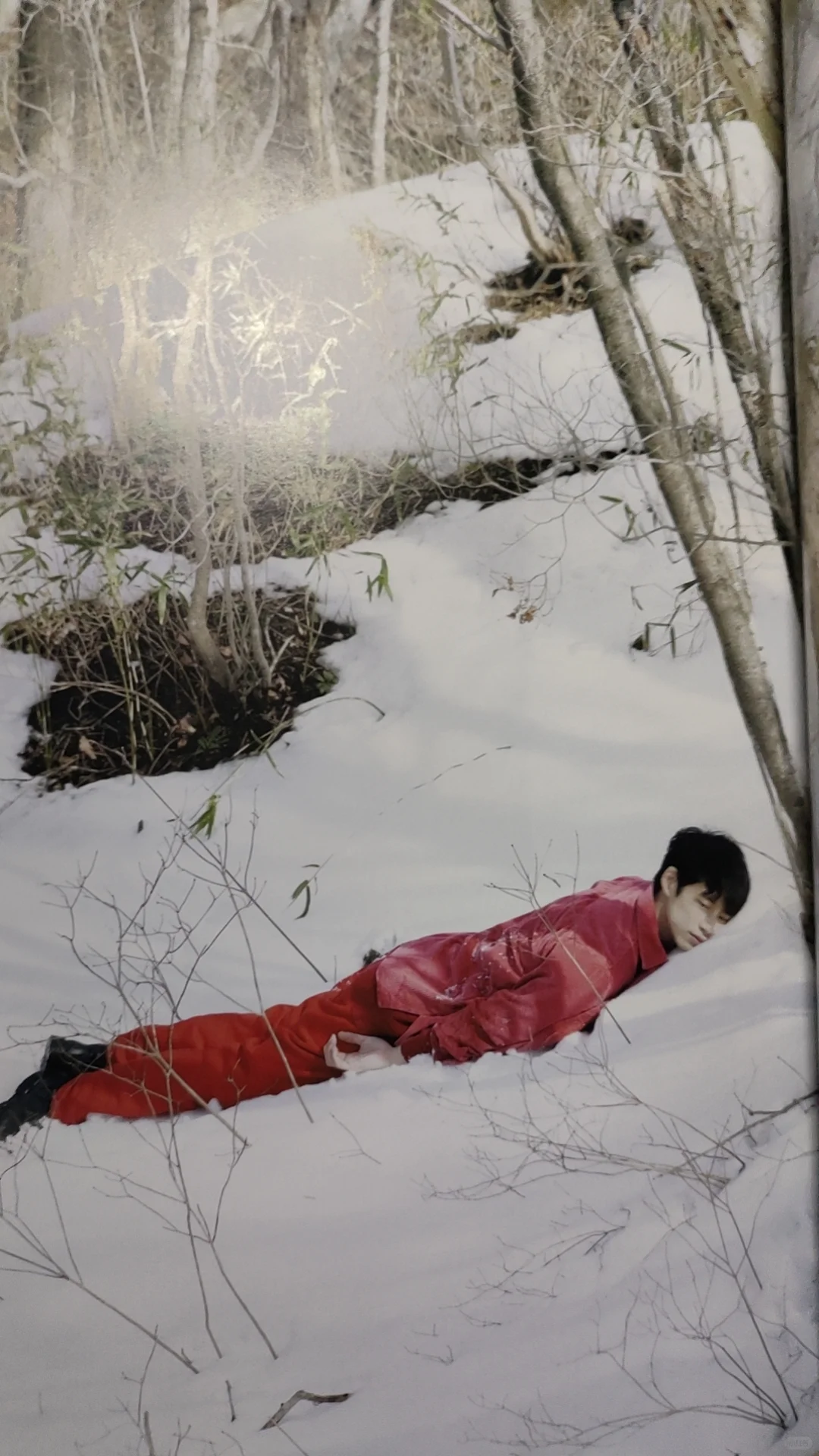 也是看上坂口小天使的写真集了