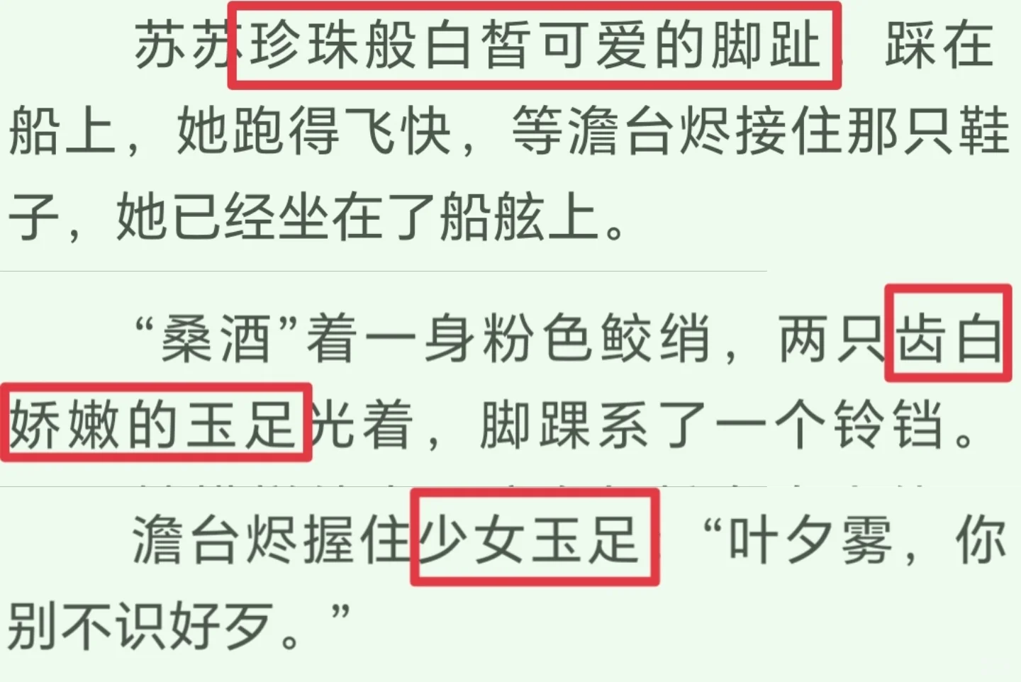 谁知道描写女主“玉足”多少次了？