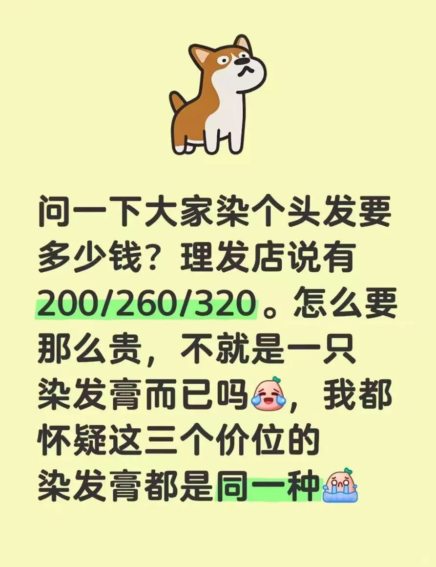 美好的一天从头开始