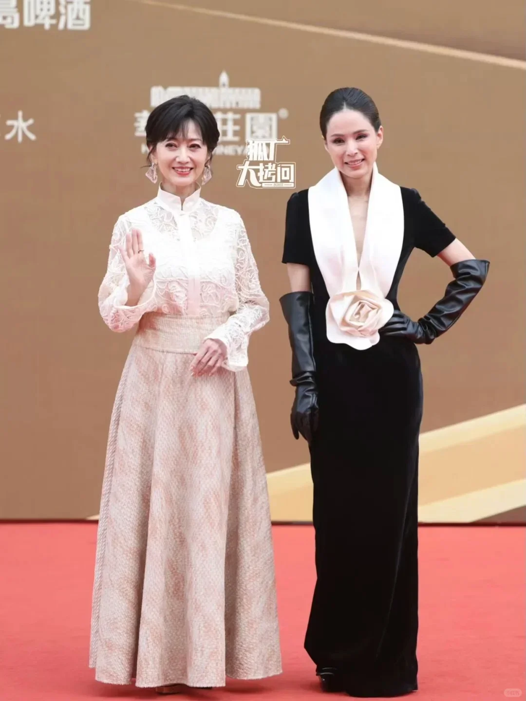 我抄！赵雅芝这生图。。。