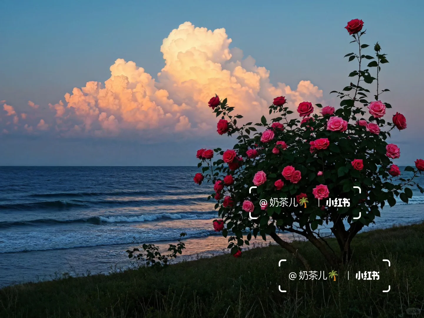 选了好长时间，还是喜欢这张ipad壁纸