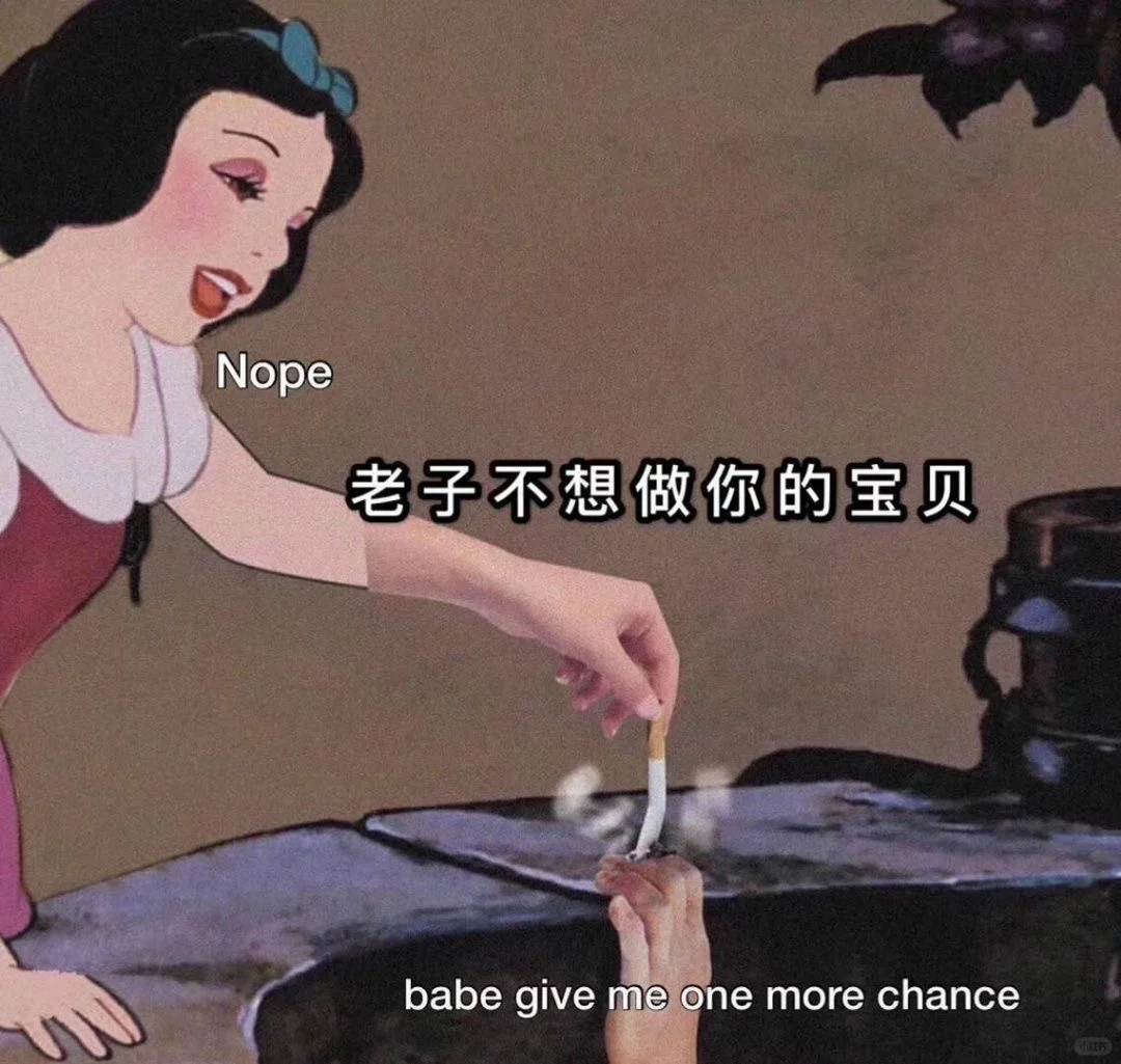 每日表情包❽