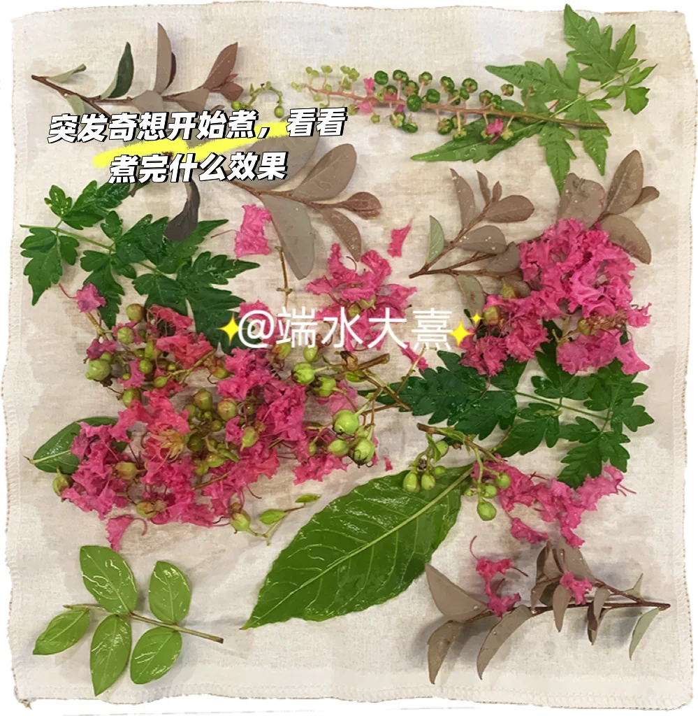 面试老师好奇的植物拓印染，太好看了吧！