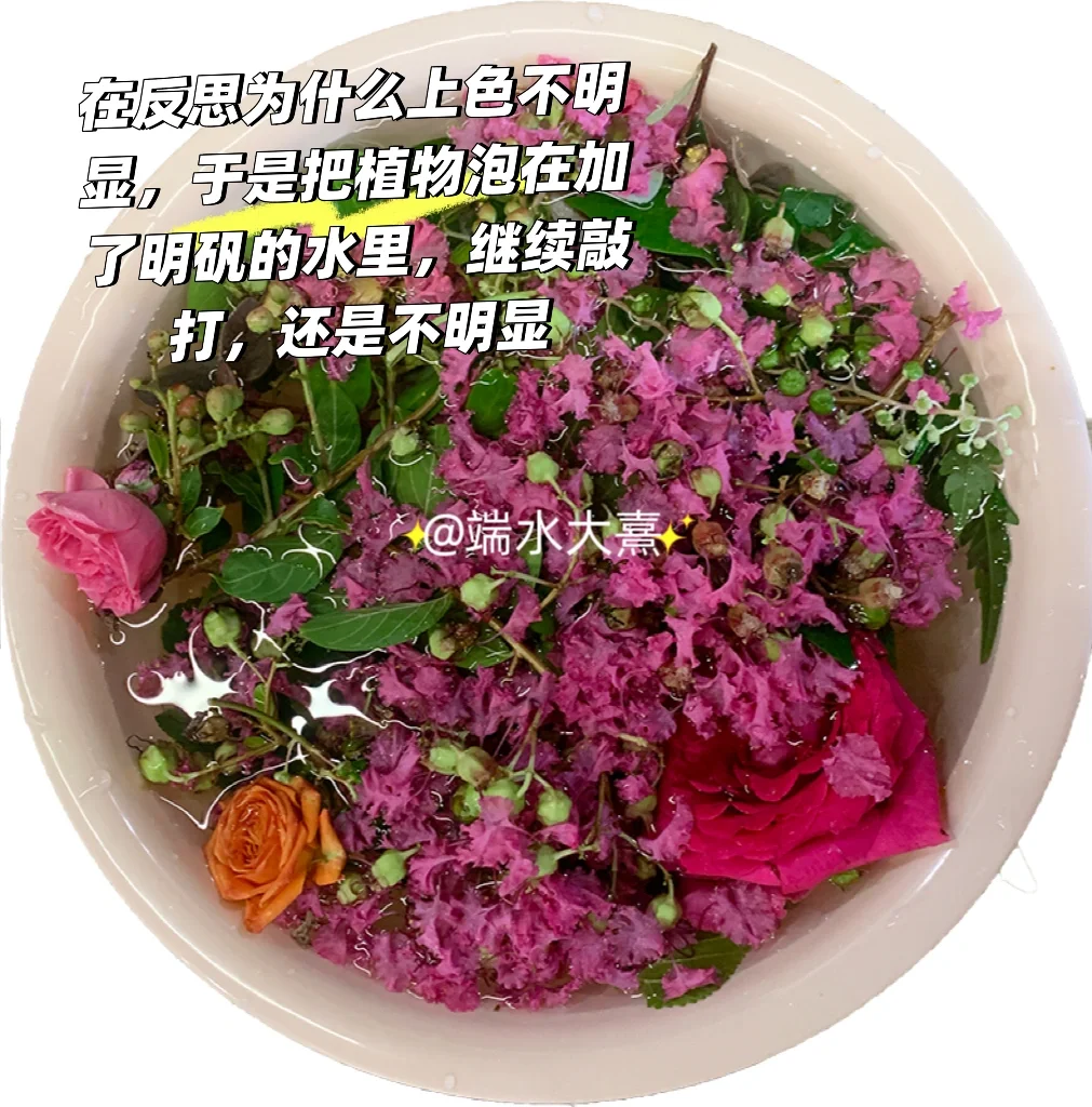面试老师好奇的植物拓印染，太好看了吧！