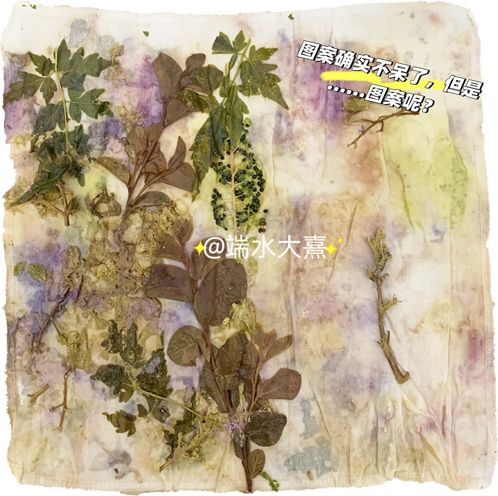 面试老师好奇的植物拓印染，太好看了吧！