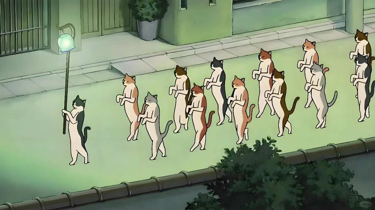猫猫报恩