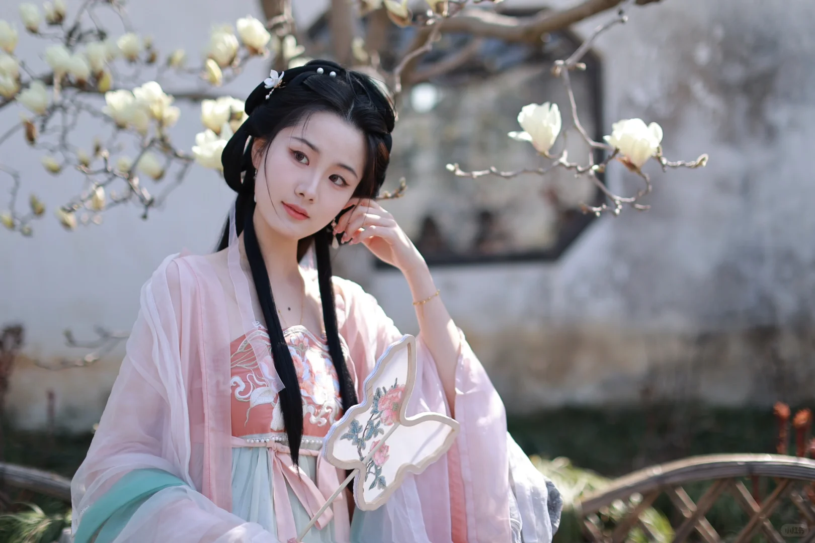 皎皎玉兰花，不受缁尘垢