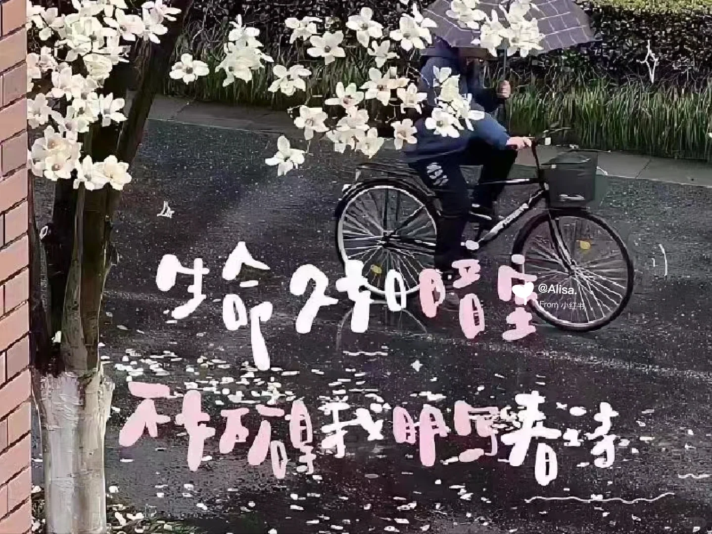 iPad电脑壁纸该换新啦～